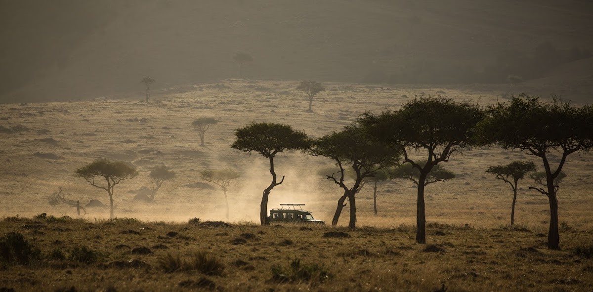 Maasai-Mara Games drives at Maasai Mara National Park are one of the reasons it is a top attraction in East Africa