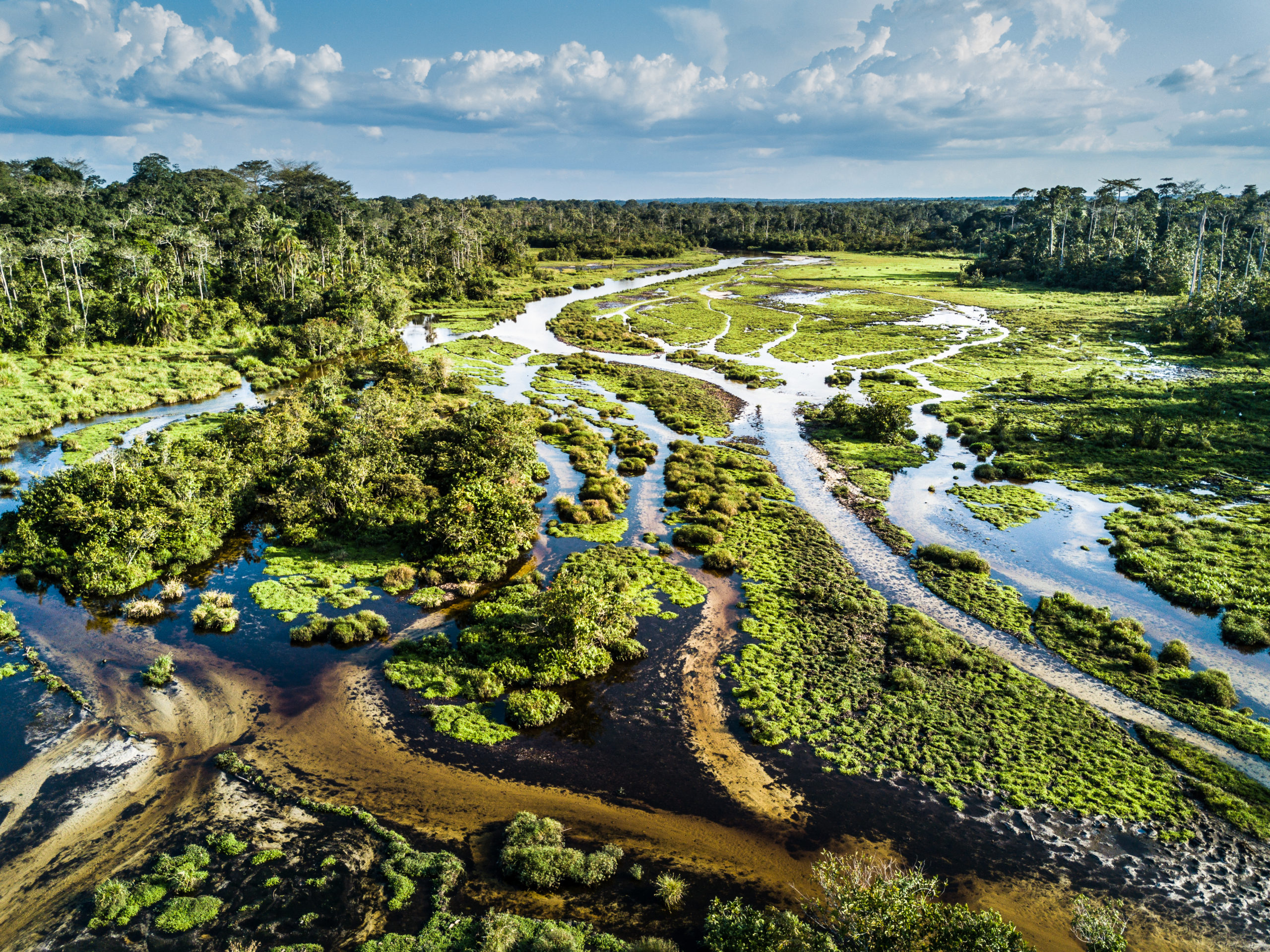 Odzala National Park - Republic of Congo