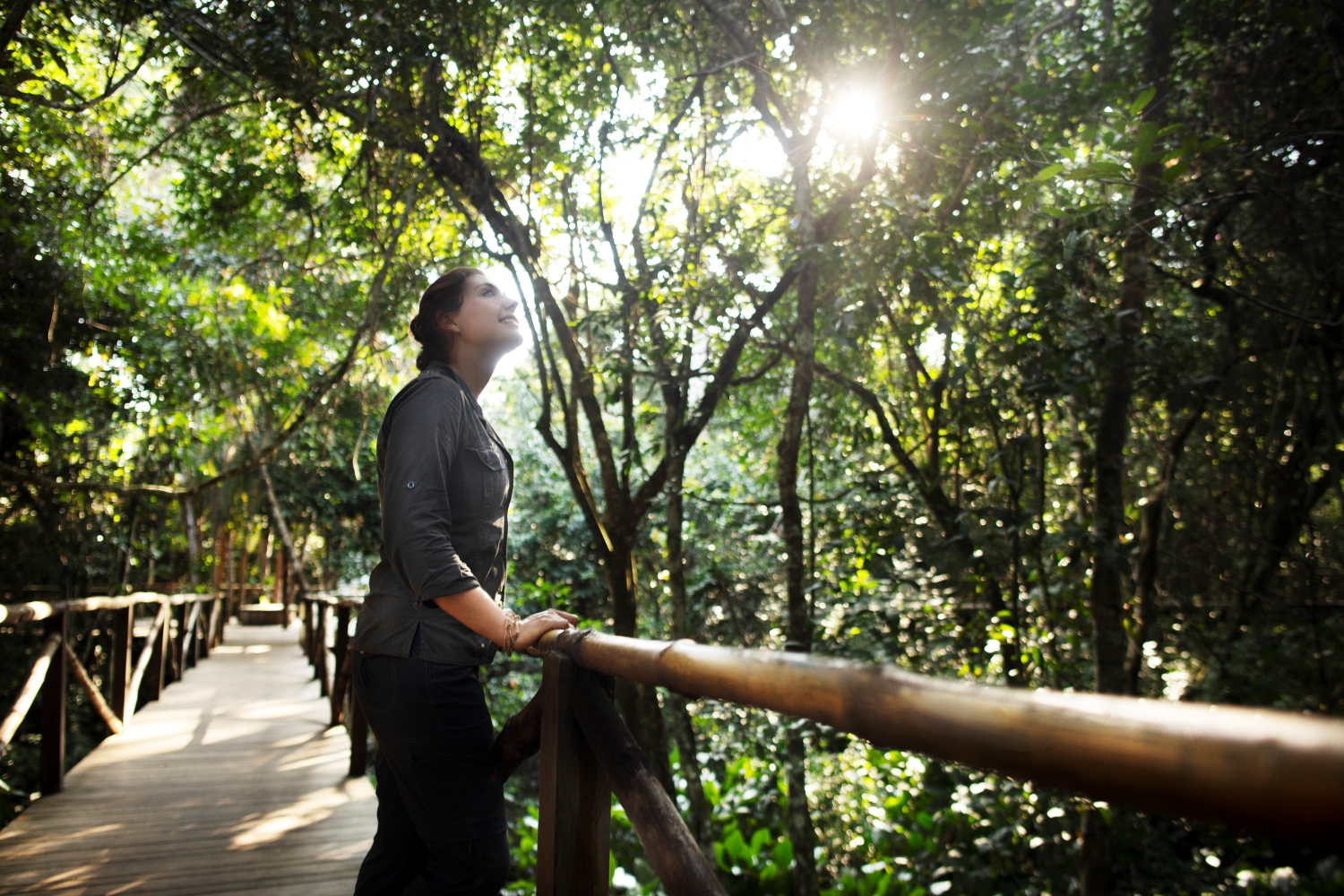 Odzala-Kokoua-National-Park-forest-bathing Woman on a wooden bridge admiring the forest that surrounds her